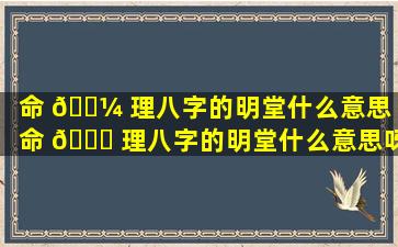 命 🐼 理八字的明堂什么意思「命 🕊 理八字的明堂什么意思呀」